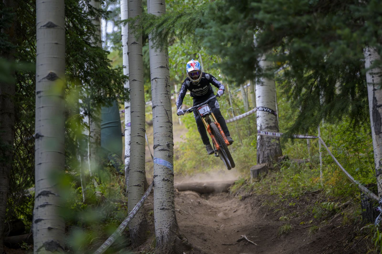 Fred jumping through a corridor of aspen trees